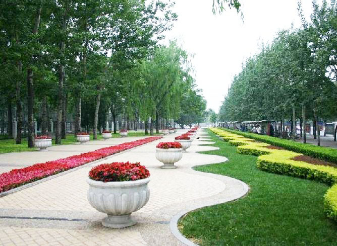 蘇州持續(xù)40度高溫天氣，景觀園林綠化養(yǎng)護(hù)技術(shù)