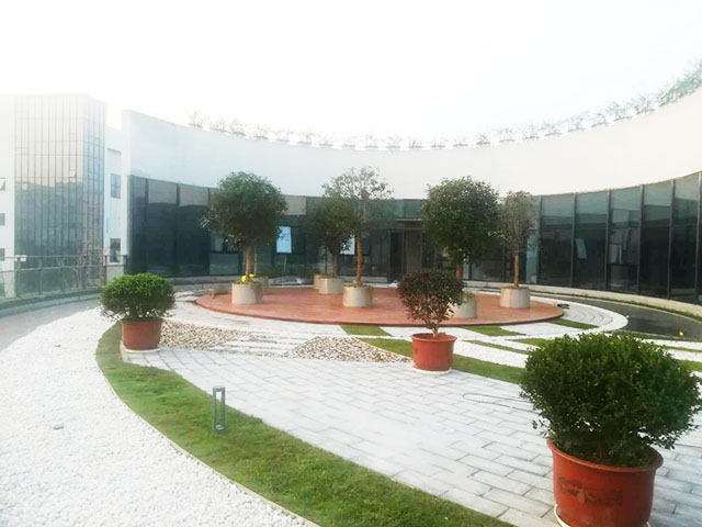 盆栽租賃的未來趨勢與發(fā)展方向