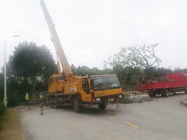 綠點（蘇州）科技有限公司 -- 婁南廠