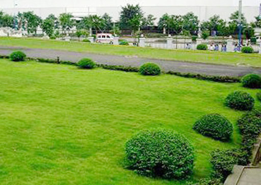 綠化養(yǎng)護方法都有那些？