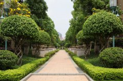 蘇州綠化養(yǎng)護(hù)公司-綠化養(yǎng)護(hù)服務(wù)方案